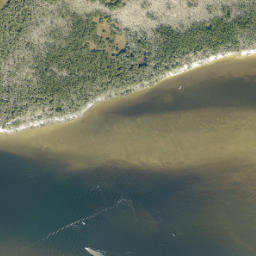 Satellite imagery of Cattle Dock Point, US