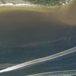 Satellite imagery of Piney Point, US