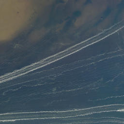 Satellite imagery of Piney Point, US