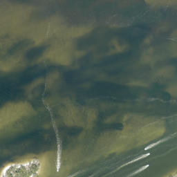Satellite imagery of Cattle Dock Point, US