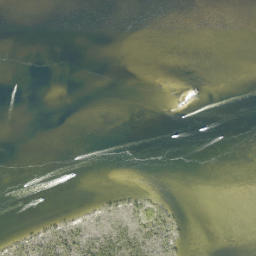 Satellite imagery of Cattle Dock Point, US