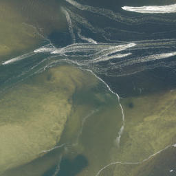 Satellite imagery of Cattle Dock Point, US