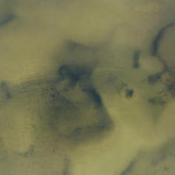 Satellite imagery of Sword Point, US