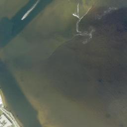 Satellite imagery of Shell Point, US