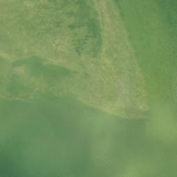 Satellite imagery of Long Point, US