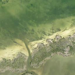 Satellite imagery of Long Point, US