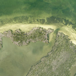 Satellite imagery of Long Point, US