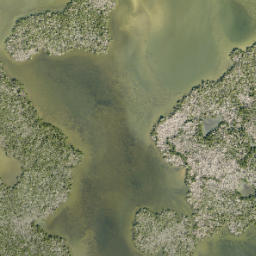 Satellite imagery of Long Point, US