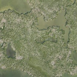 Satellite imagery of Long Point, US