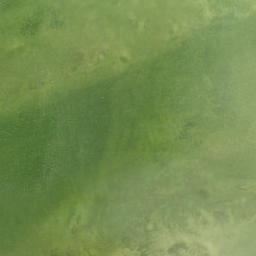 Satellite imagery of Woodrings Point, US