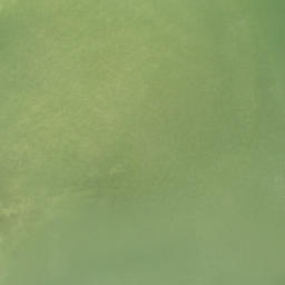 Satellite imagery of Woodrings Point, US