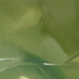 Satellite imagery of Bodwitch Point, US