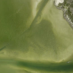 Satellite imagery of Bodwitch Point, US