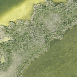 Satellite imagery of Green Point, US