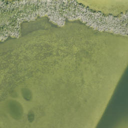 Satellite imagery of Green Point, US