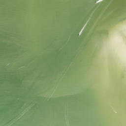 Satellite imagery of Bodwitch Point, US