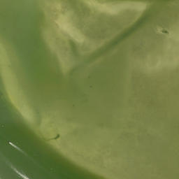 Satellite imagery of Bodwitch Point, US