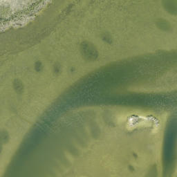 Satellite imagery of Green Point, US