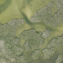 Satellite imagery of Green Point, US