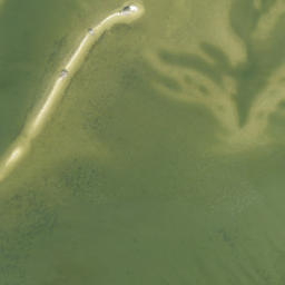 Satellite imagery of Green Point, US