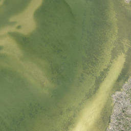 Satellite imagery of Green Point, US