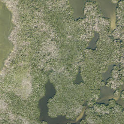 Satellite imagery of Green Point, US