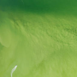 Satellite imagery of Point Ybel, US