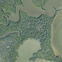 Satellite imagery of Needmore Point, US