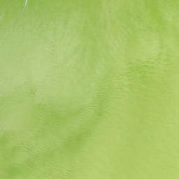 Satellite imagery of Point Ybel, US