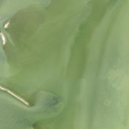 Satellite imagery of Needmore Point, US