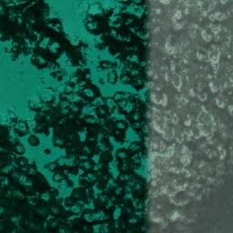 Satellite imagery of Qulay‘ah Rock, BH