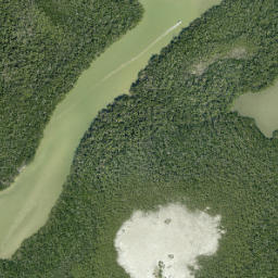 Satellite imagery of Goombs Point, US