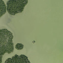 Satellite imagery of Goombs Point, US
