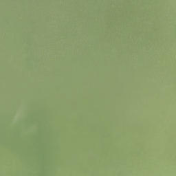 Satellite imagery of Goombs Point, US