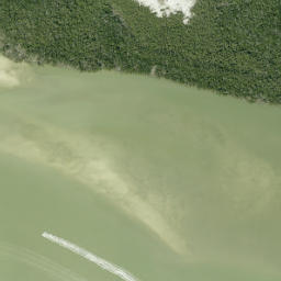 Satellite imagery of Goombs Point, US