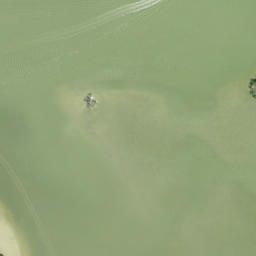 Satellite imagery of Goombs Point, US