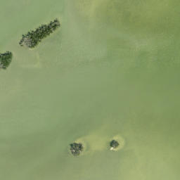 Satellite imagery of Goombs Point, US