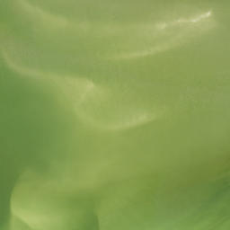 Satellite imagery of Carlos Point, US