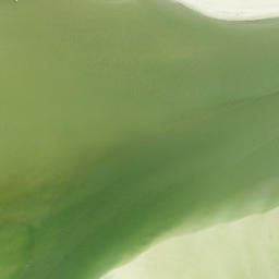 Satellite imagery of Carlos Point, US