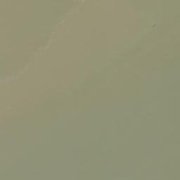 Satellite imagery of Tree Point, CN