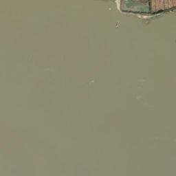 Satellite imagery of Tree Point, CN