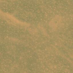 Satellite imagery of Tamnaiert, EH