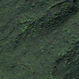 Satellite imagery of 造林地界 19, TW