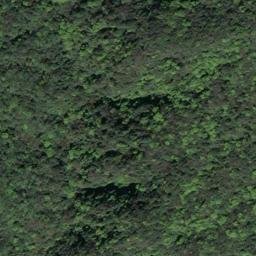 Satellite imagery of 造林地界 11, TW