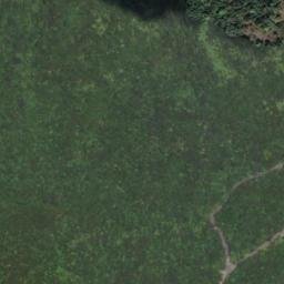 Satellite imagery of 士林街造林地界, TW