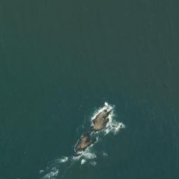 Satellite imagery of Xiaozuo Shan, CN