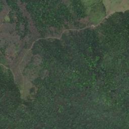 Satellite imagery of 造林租界, TW