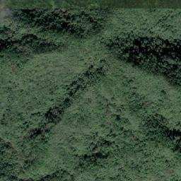 Satellite imagery of 造林租界, TW