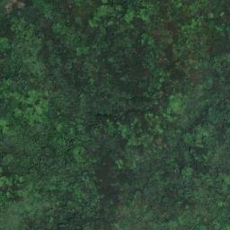 Satellite imagery of 三等三角點 1081, TW