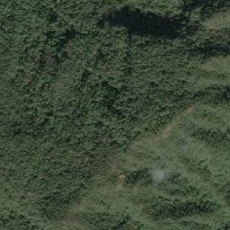 Satellite imagery of 造林地界 11, TW